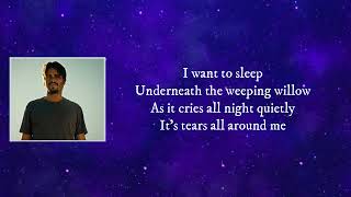 Grandaddy - Underneath The Weeping Willow (Lyrics)