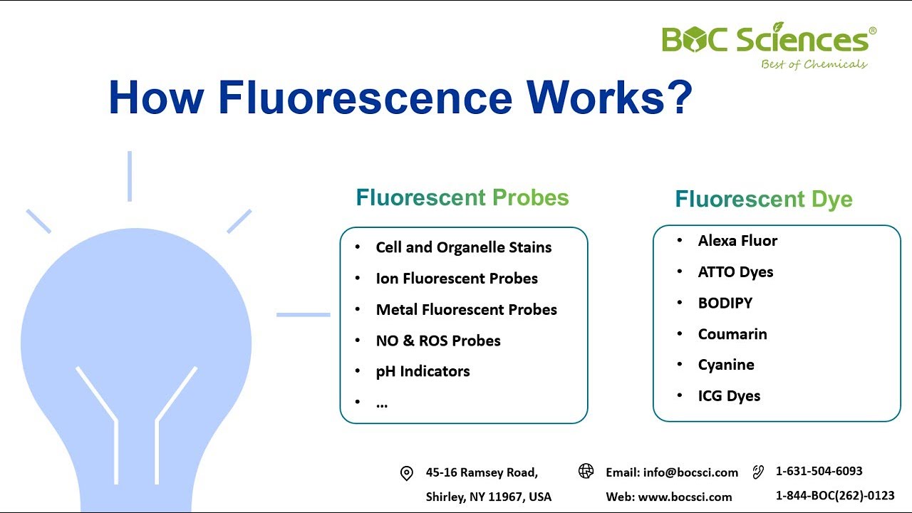 How Fluorescence Works: The Science Behind Fluorescent Probes & Dyes – BOC Sciences