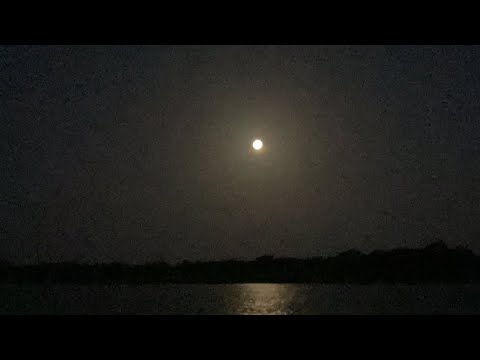 TWIGGA NEEDED TO GET AWAY…LIFE SUCKS RIGHT NOW 😢