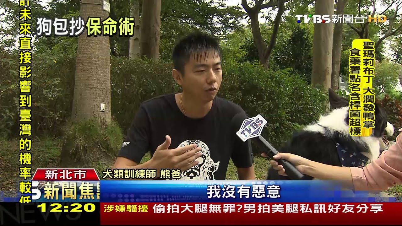 上學途中遭4野狗攻擊　女學生嚇躲牆角