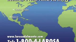 La Rosa del Monte - (787) 780-5775