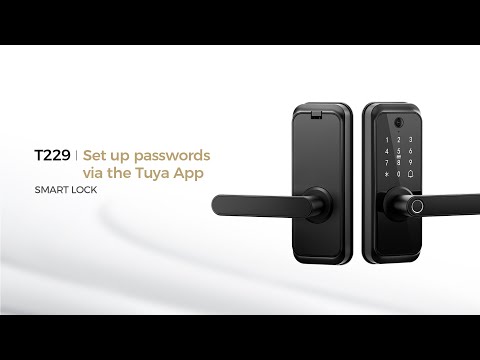 Arpha T229 Set up passwords via the Tuya App