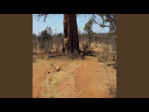 LIMPOPO IS A COUNTRY