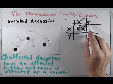 Chapter 6 Matters of Sex C