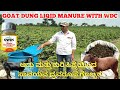 Organic Liquid Manure Goat Dung WDC ಆಡು ಮತ್ತು ಕುರಿ ಹಿಕ್ಕೆಯಿ�