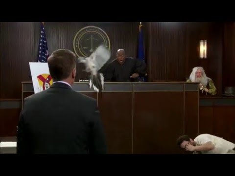 It's Always Sunny in Philadelphia - The Bird attacks the Jew Lawyer