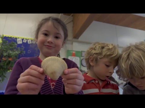 I'm a Mensch because of PJA!