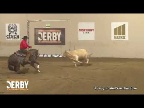 Brother Jackson - 2018 NRCHA CD Survivor Memorial -  cow work