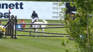 Video de Check Picobello Z