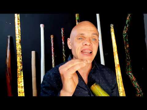 2 - Gli armonici nei didgeridoo