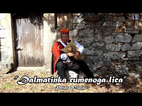 Dalmatinka rumenoga lica (Official video) Petar 2023