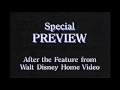 All BVHV Bumpers 1992 1994 Blue Letters On Black Background