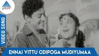 Download lagu Kumudham Tamil Movie Songs | Ennai Vittu Odipoga Mudiyumaa Video Song | S Govindarajan | P Susheela mp3 Download lagu Kumudham Tamil Movie Songs | Ennai Vittu Odipoga Mudiyumaa Video Song | S Govindarajan | P Susheela mp3