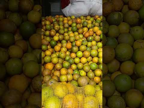veja o preço da laranja 🍊 aqui em ubata sul da Bahia