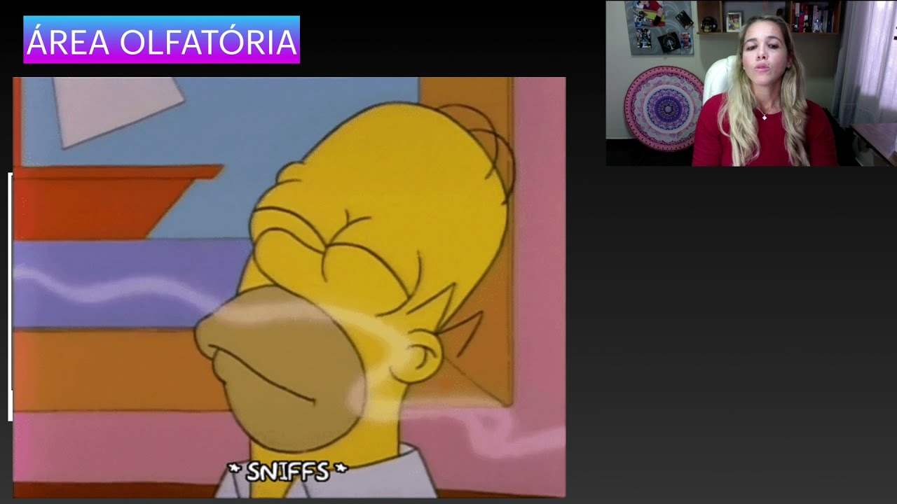 Cavidade Nasal: Área Olfatória