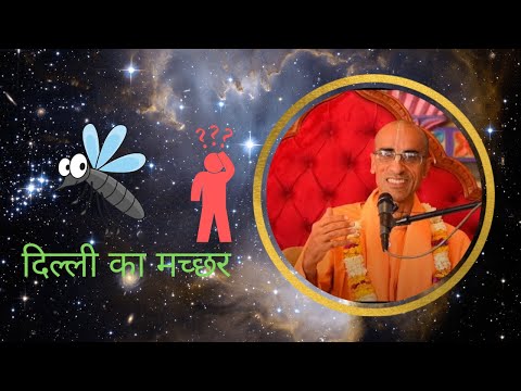 दिल्ली का मच्छर by Rukmini Krishna Prabhu