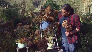 Centros de flores secas de invierno - Decogarden - @Jardinatis