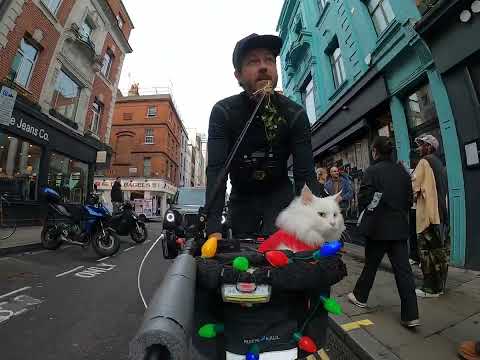 Nessuno voleva baciare Sigrid sotto il vischio. 😢 Qualcuno è interessato?