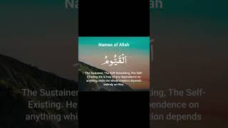 Download lagu 391 Al Quran surah verse recitation tilawat #alquran #quran #surah #verse #recitation #tilawat #zain mp3 Download lagu 391 Al Quran surah verse recitation tilawat #alquran #quran #surah #verse #recitation #tilawat #zain mp3