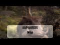 The Lion King 2019 The Lion Sleeps Tonight One Line Multilanguage HD
