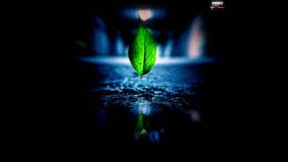 Download lagu STORY WA 30 DETIK TERBARU 2021 || LITERASI 30 DETIK || QUOTES 30 DETIK TERBARU mp3 Download lagu STORY WA 30 DETIK TERBARU 2021 || LITERASI 30 DETIK || QUOTES 30 DETIK TERBARU mp3