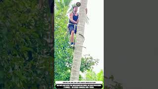 Coconut Tree Climbing Tool One Loop Scales A 10m Palm