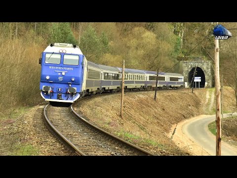 Horns Show de Goarne By Jimmy Tricolor 64-0990-3 & GM 64-1357-4 in Șuncuiuș - 04 April 2021