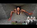 I Hate Mutant SPIDER-MOMO IS REAL in Minecraft - Coffin Meme