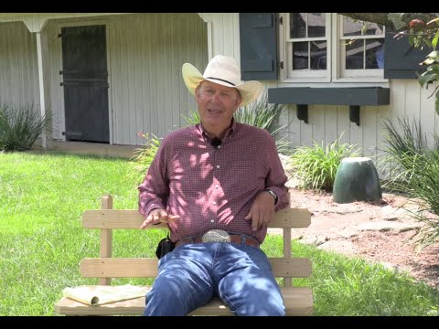 Should You Divorce Your Horse? (Episode 167) - Herm Gailey:  A Lifetime with Horses