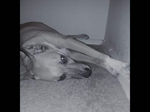 Jay 1:40 - Without You (Prod. Raspo)