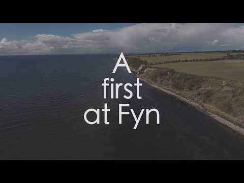 How to catch sea trout: A first at Fyn (3 of 4) - the right place