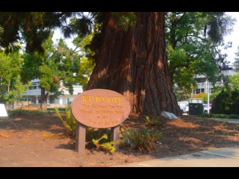 Salem, Oregon's Tiny Wonder: Exploring Waldo Park, One of the World's Smallest Parks!!