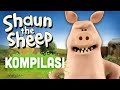 Shaun the Sheep - Season 4 Compilation (Episodes 21-25)