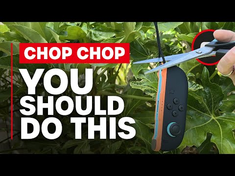 You Should Cut Your Switch 2 Joy-Con Straps
