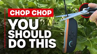 You Should Cut Your Switch 2 Joy-Con Straps