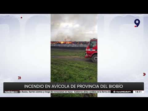 Incendio en bodegas de avícola en Chacayal camino a Quilleco