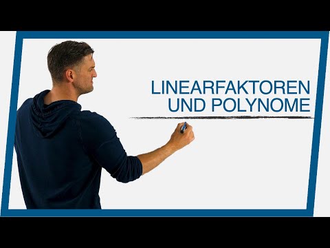 Linearfaktoren und Polynome | Mathe by Daniel Jung