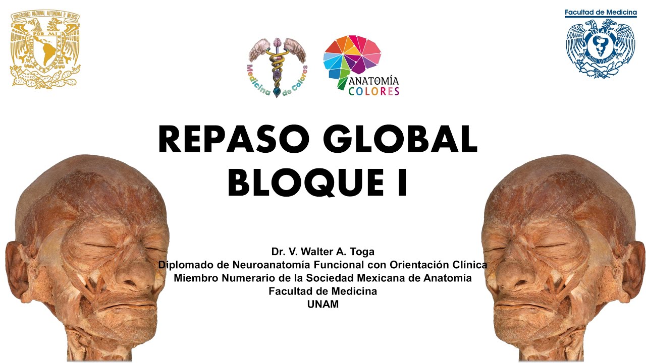 REPASO GLOBAL DORSO, CABEZA Y CUELLO-PARTE 1