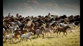 Wild Montana Skies (John Denver) Lyrics