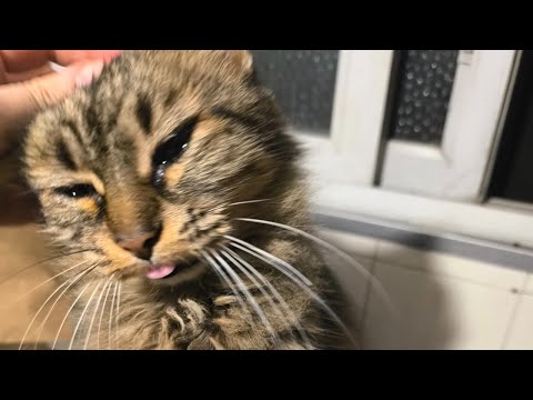 The RPGPundit Encounter Ep2 - Alexander Macris!