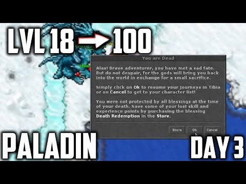 PALADIN: From LVL 18 to 100 in 7 DAYS - Part 3 (Day 3, subtitled)
