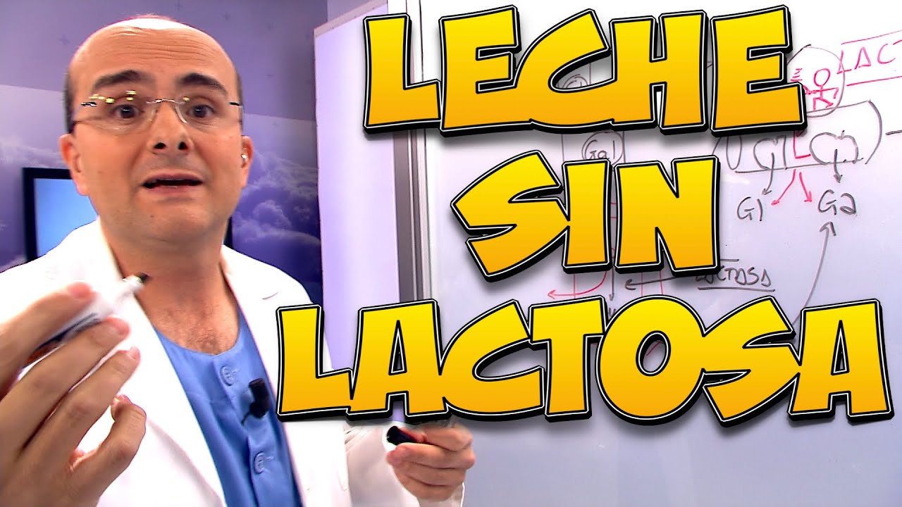 Watch LECHE SIN LACTOSA, ¿QuĆ© es ¿QuiĆ©n la debe tomar - Enciclopedia de los Alimentos #09 Now LECHE SIN LACTOSA, ¿QuĆ© es ¿QuiĆ©n la debe tomar - Enciclopedia de los Alimentos #09