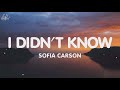 Sofia Carson - I Didn't Know (Lyrics) (From Purple Hearts) Sofia Carson - I Didn't Know (Lyrics) (From Purple Hearts)