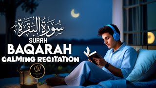 Recitation Surah Al Baqarah Will Touch Your Heart | Heart Touching Quran Tilawat