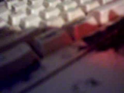 Silent All These Years.