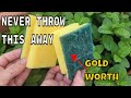 NEVER THROW THEM AGAIN The Sponges Used Are WORTH PURE GOLD On Your Plants In HOME AND GARDEN