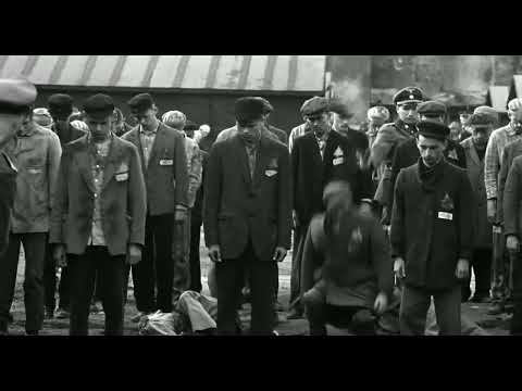 schindler's list pinag papatay ni amon goeth