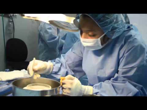 Schambach Medical Follicular Unit Extraction FUE, FOX o FIT)