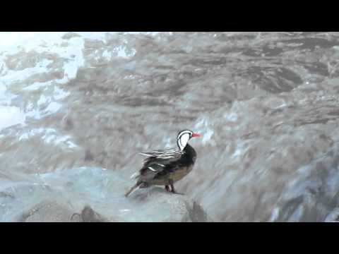 Santuario Del Rio 089