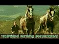 Traditional Farming Documentary Farm Life In Ireland During The 1930s Preserving The Past